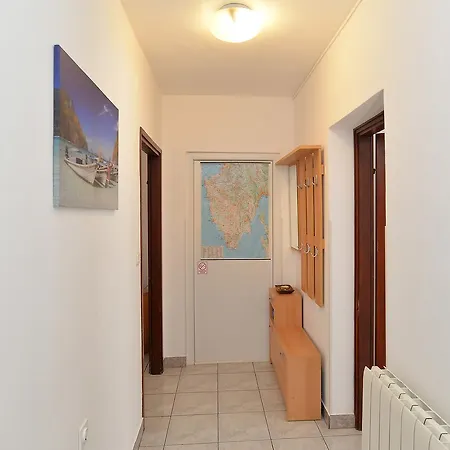 Veljko 100