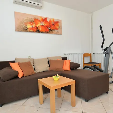 Apartment Veljko 100